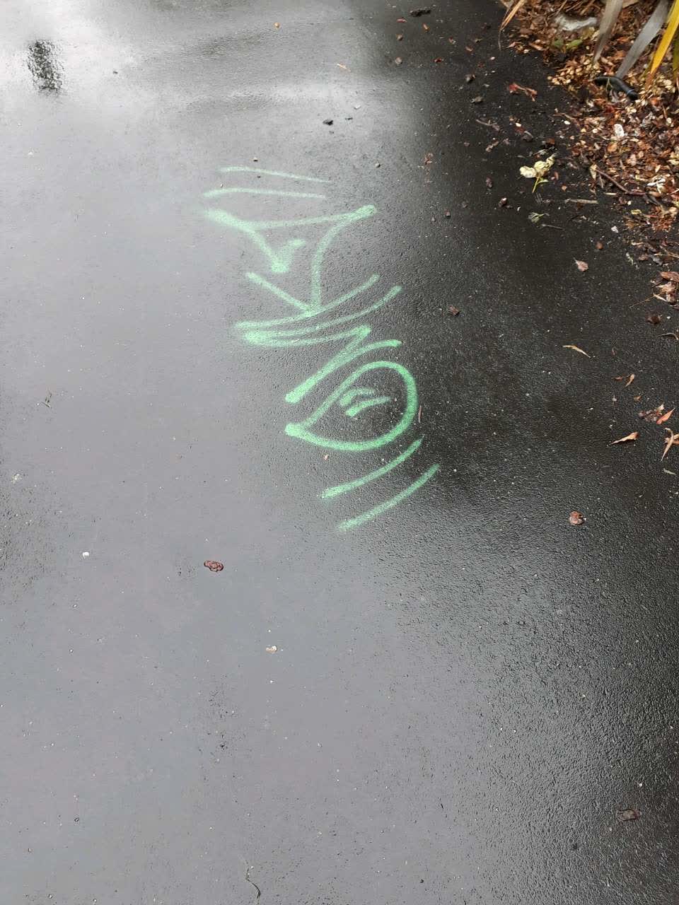 The photograph attached to this graffiti report