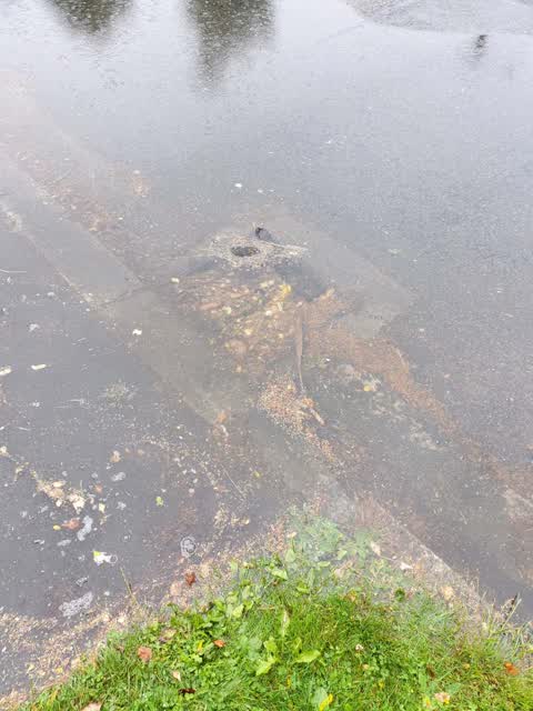 Flooding, a report photo
