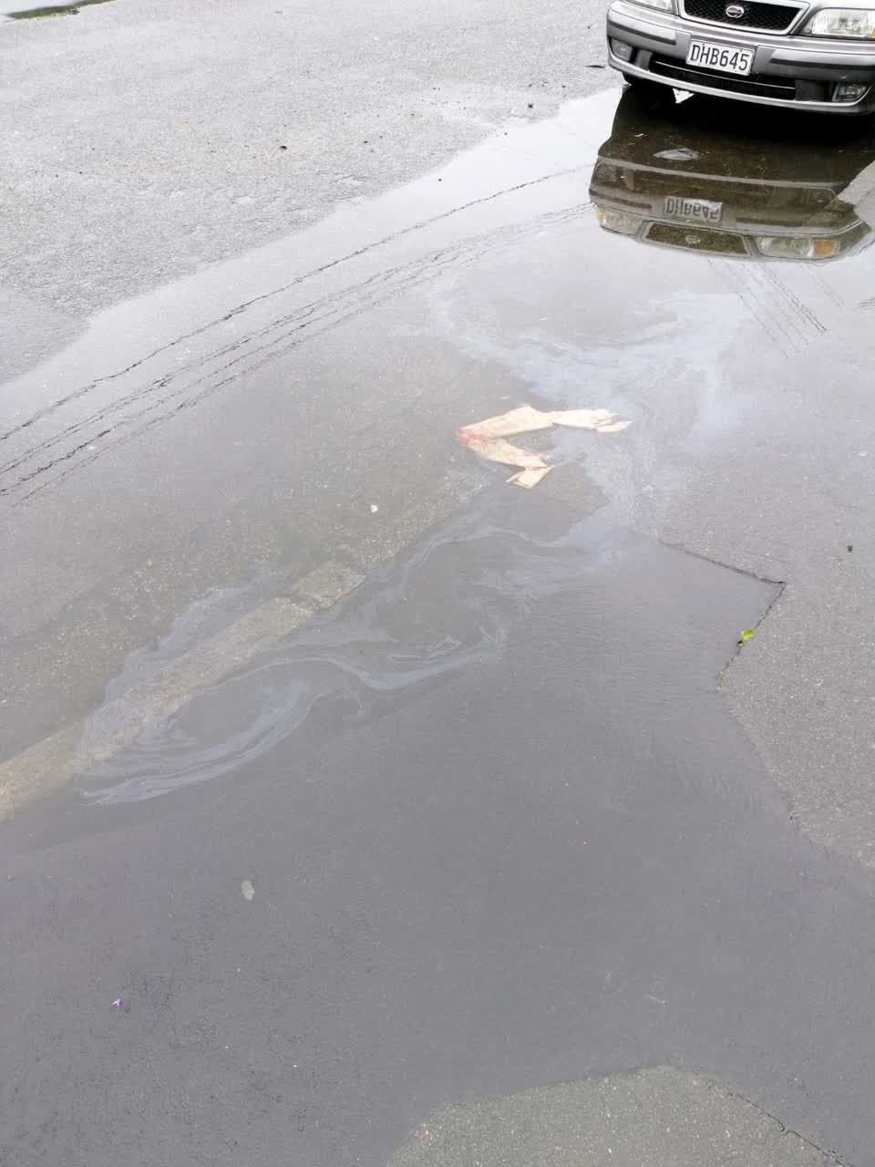 The photograph attached to this flooding report