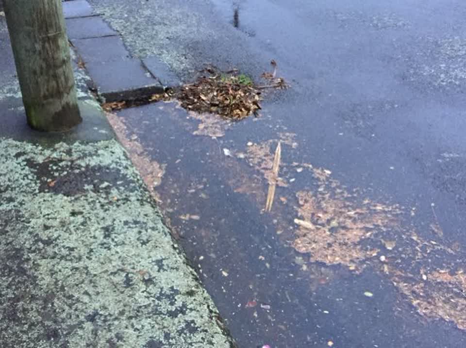 The photograph attached to this flooding report