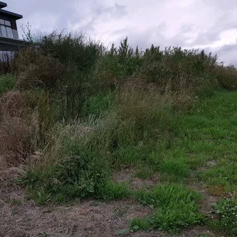 Parks, a report photo