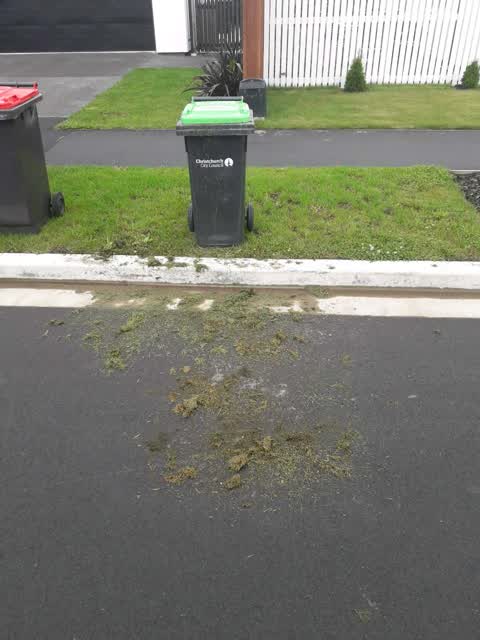 Rubbish/Recycling, a report photo
