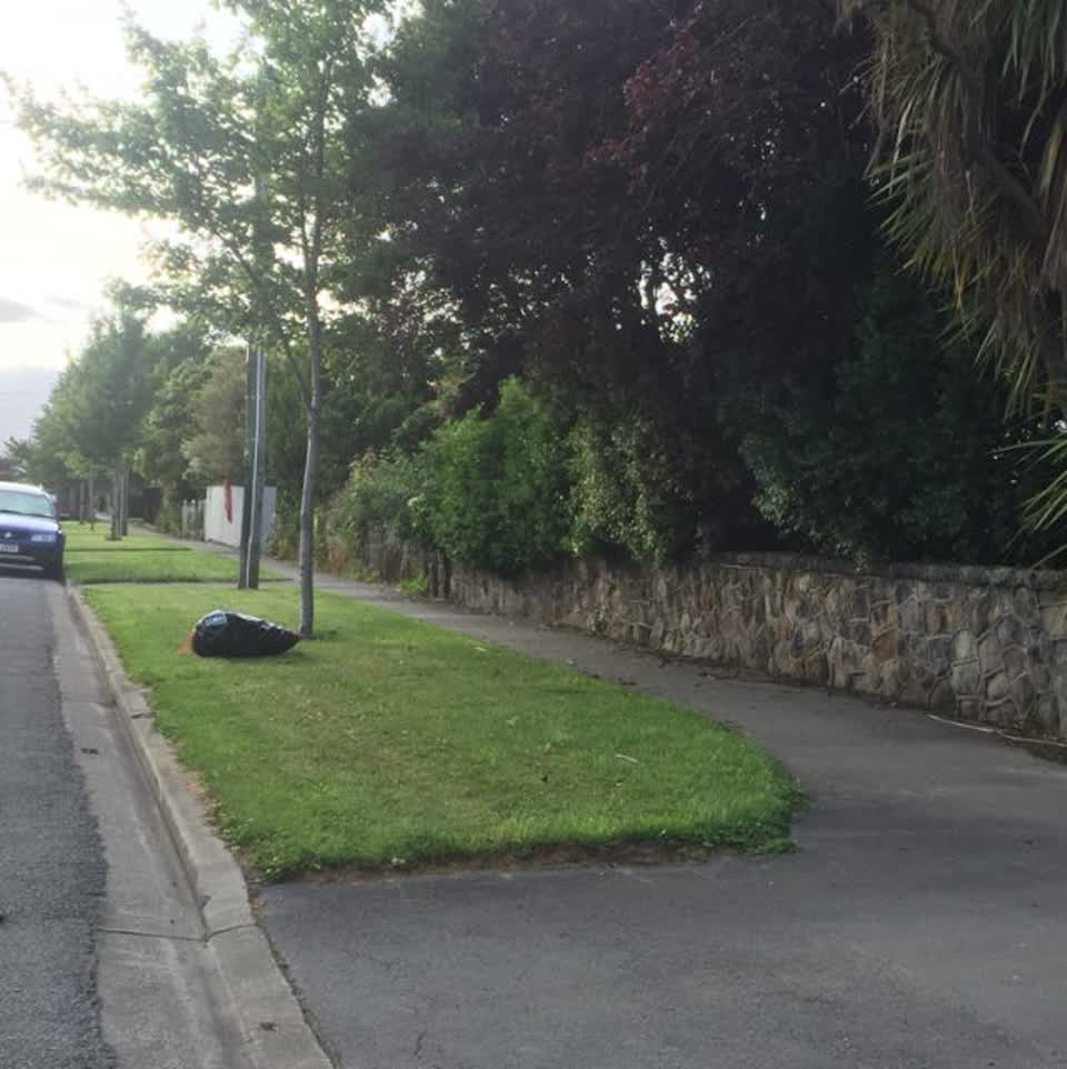 The photograph attached to this rubbish/recycling report