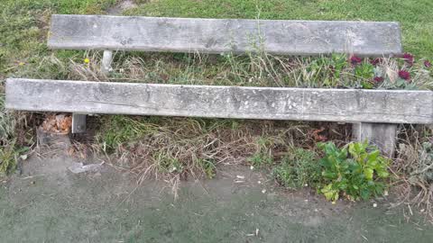 Parks, a report photo