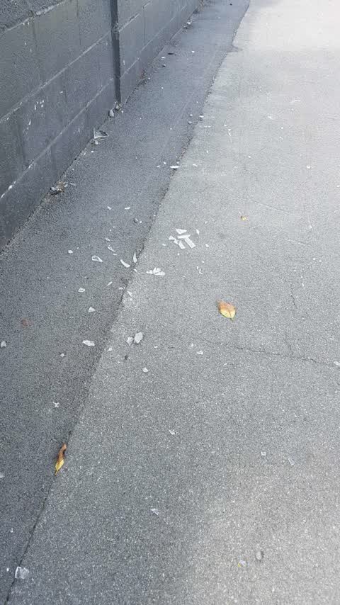 Roading/Streets, a report photo