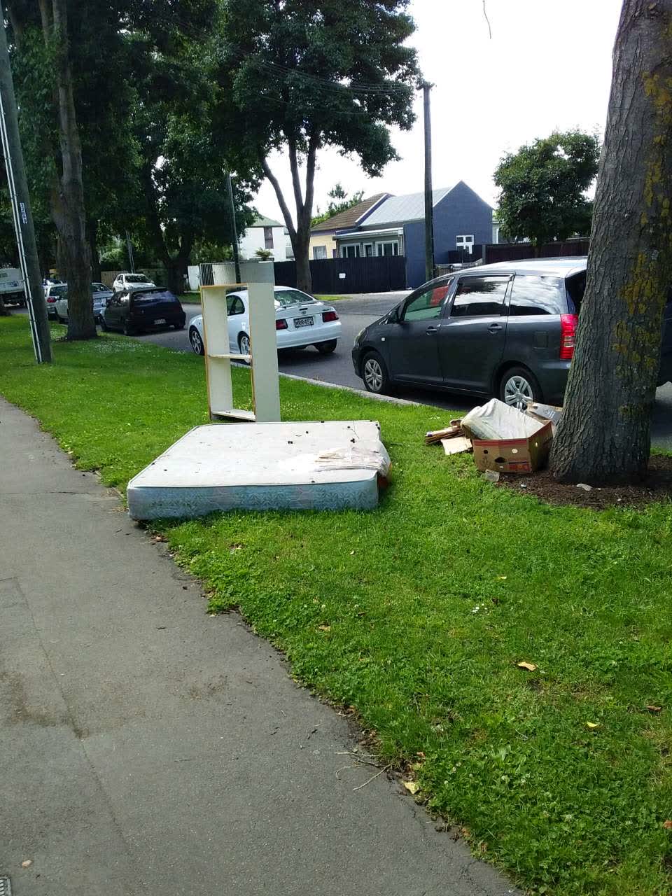 The photograph attached to this rubbish/recycling report