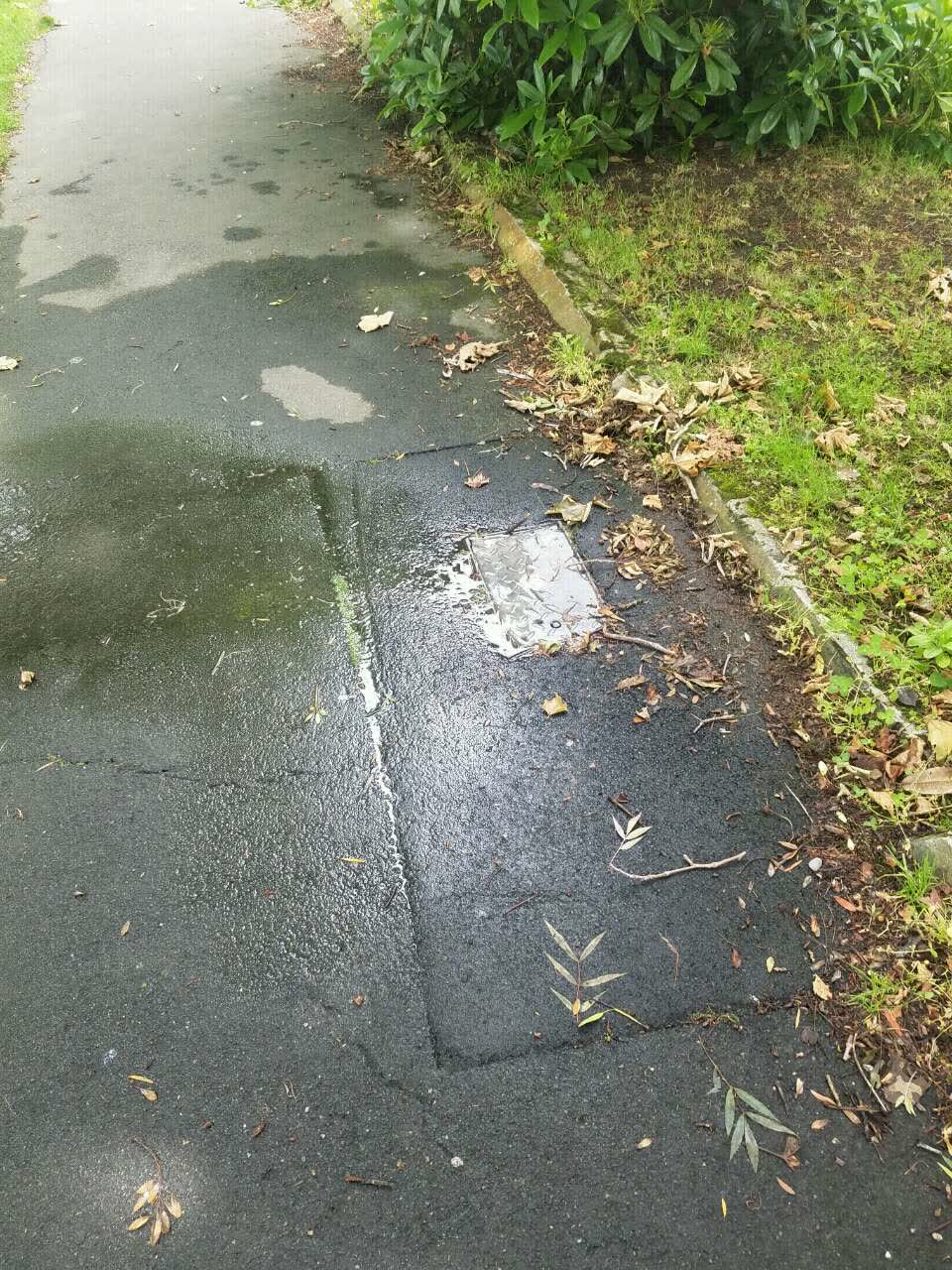 The photograph attached to this water supply report