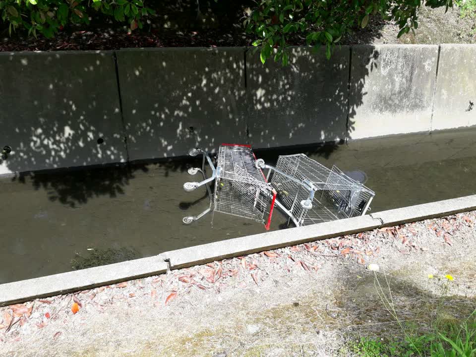 The photograph attached to this parks report