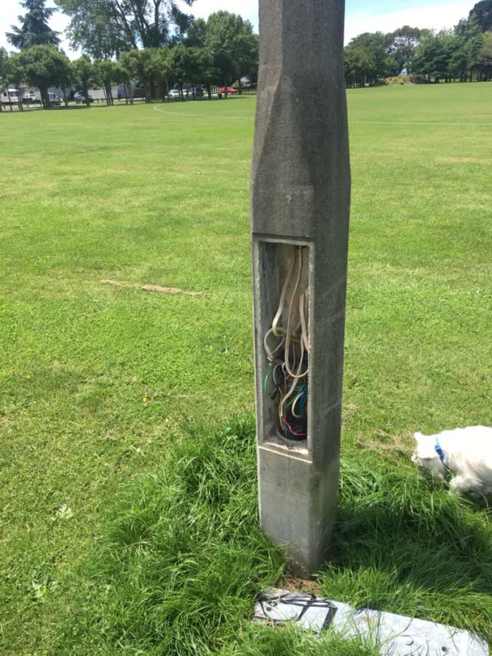 The photograph attached to this parks report