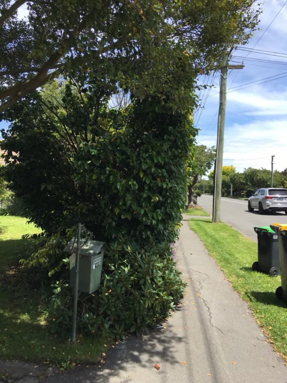 The photograph attached to this roading/streets report