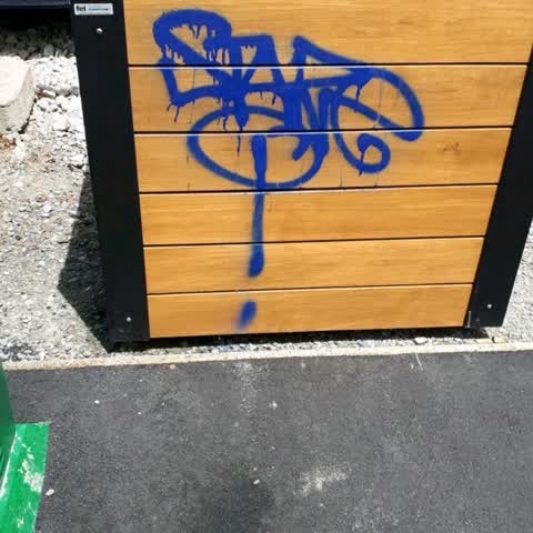 Graffiti, a report photo
