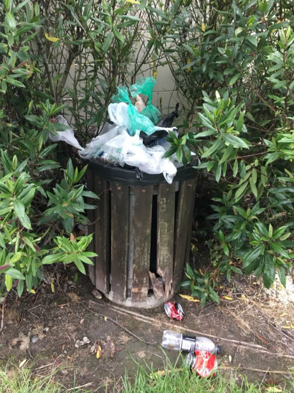 The photograph attached to this rubbish/recycling report