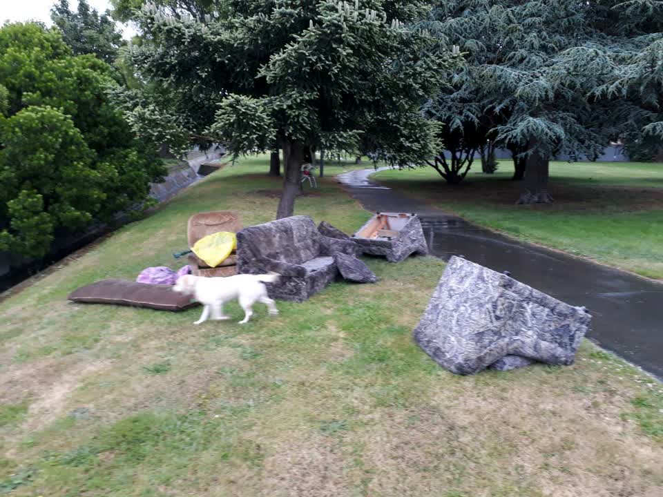 The photograph attached to this rubbish/recycling report