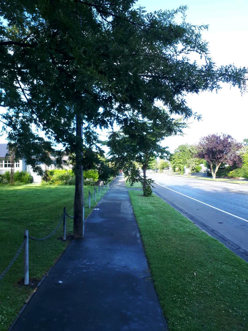 The photograph attached to this parks report