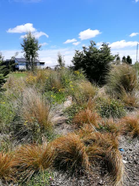 Parks, a report photo
