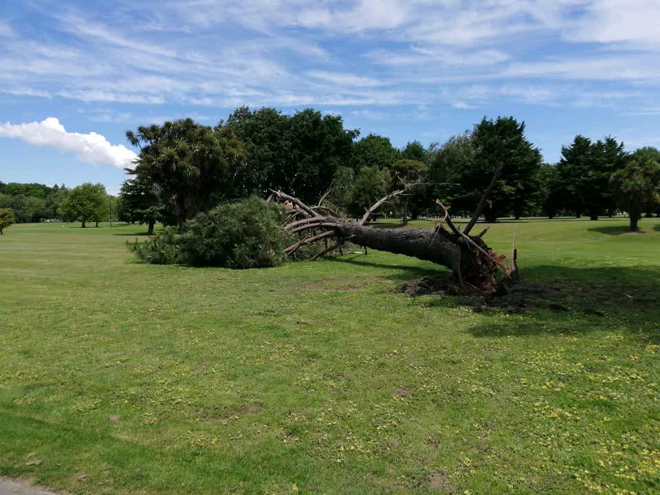 The photograph attached to this parks report