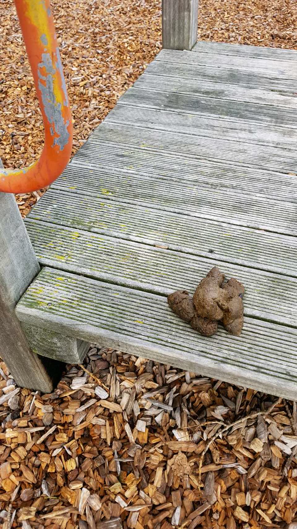 The photograph attached to this parks report
