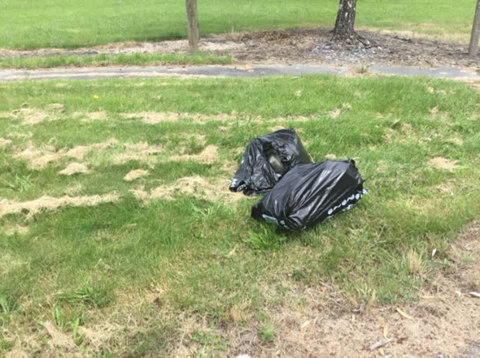 The photograph attached to this rubbish/recycling report