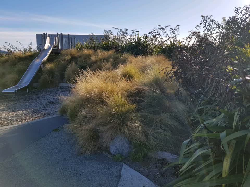 The photograph attached to this parks report