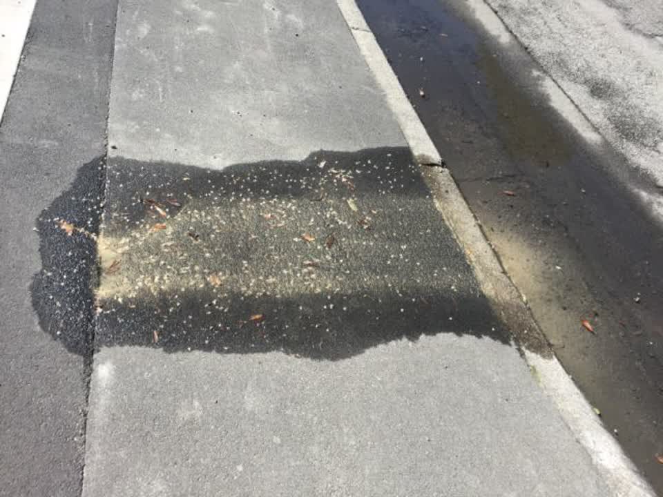 The photograph attached to this roading/streets report