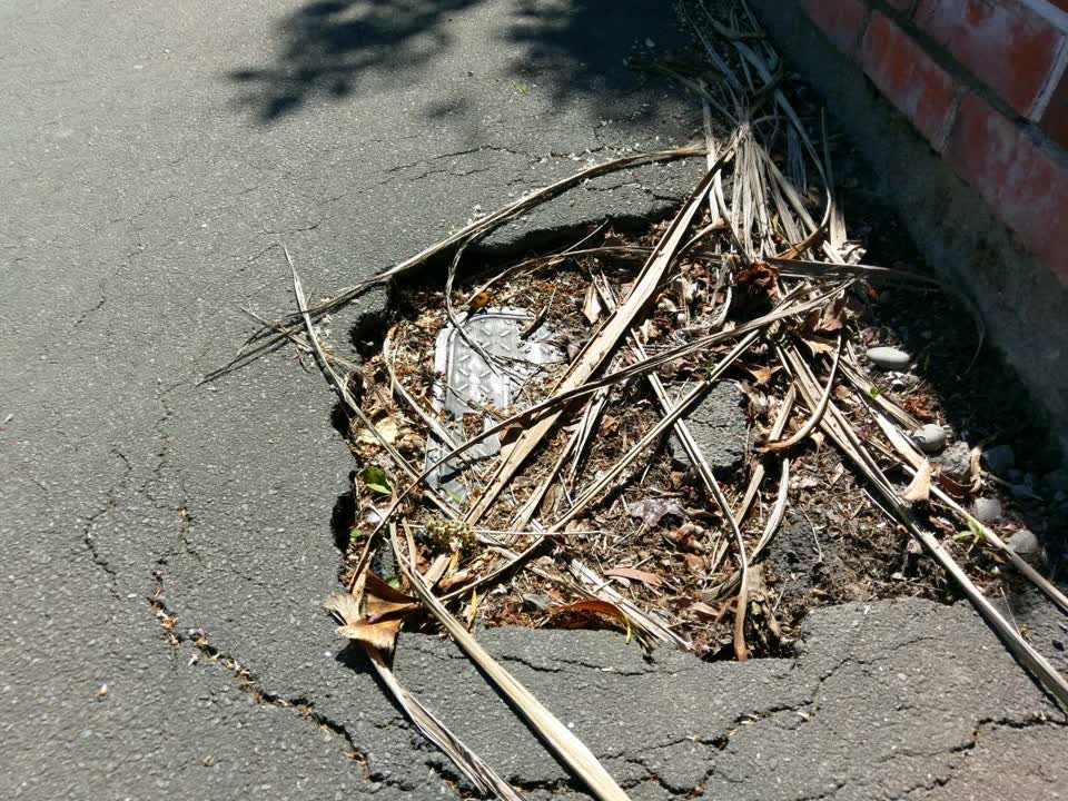 The photograph attached to this roading/streets report