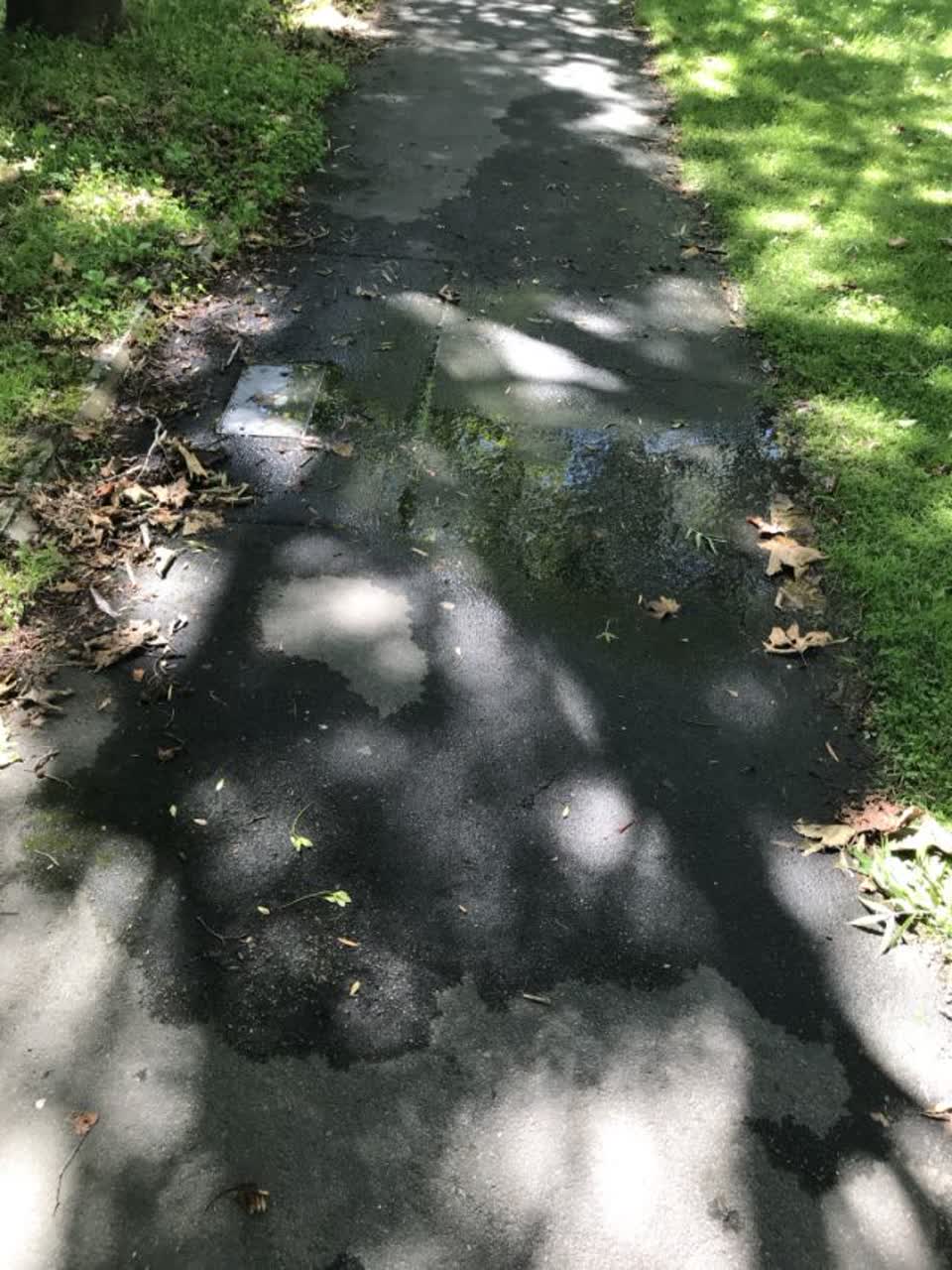 The photograph attached to this water supply report