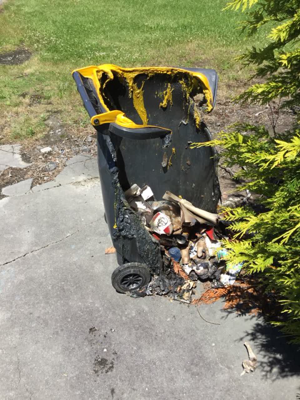 The photograph attached to this rubbish/recycling report
