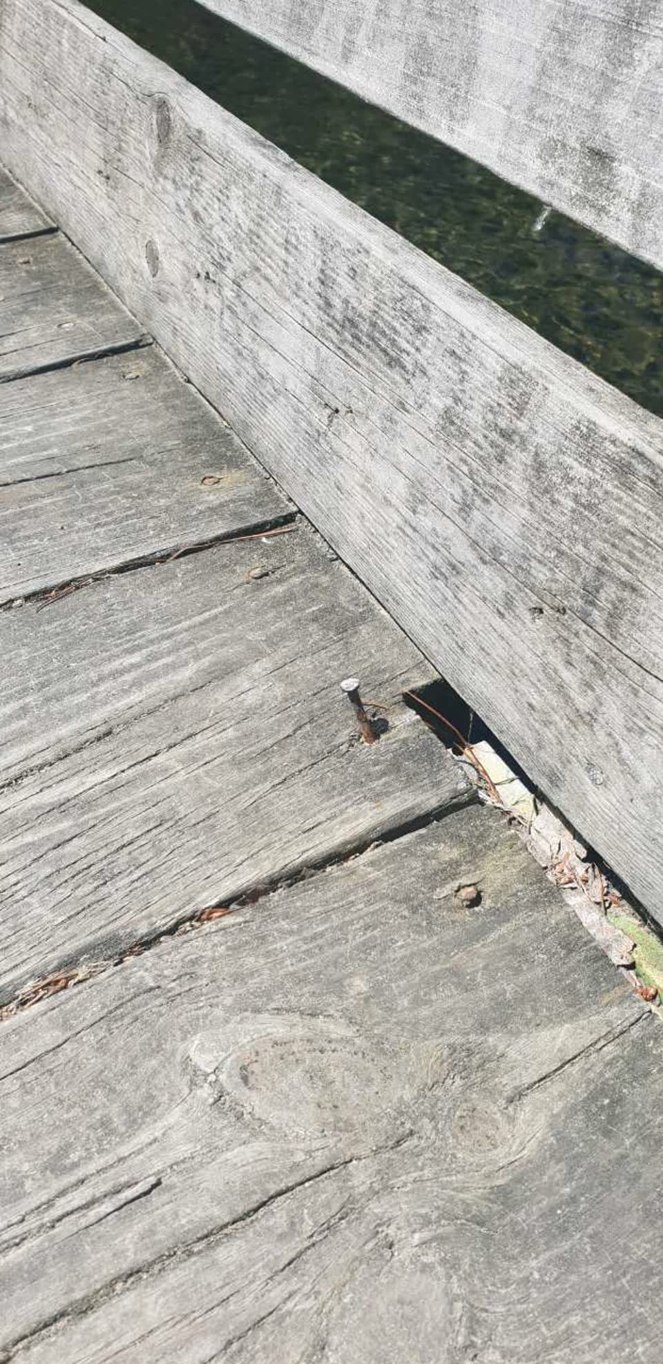 The photograph attached to this parks report