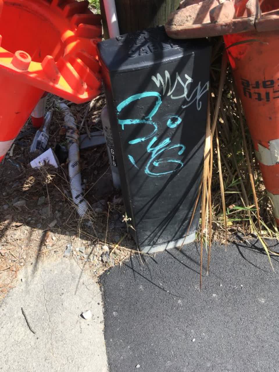 The photograph attached to this graffiti report