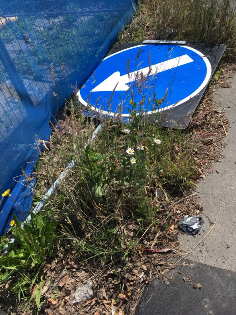 The photograph attached to this roading/streets report