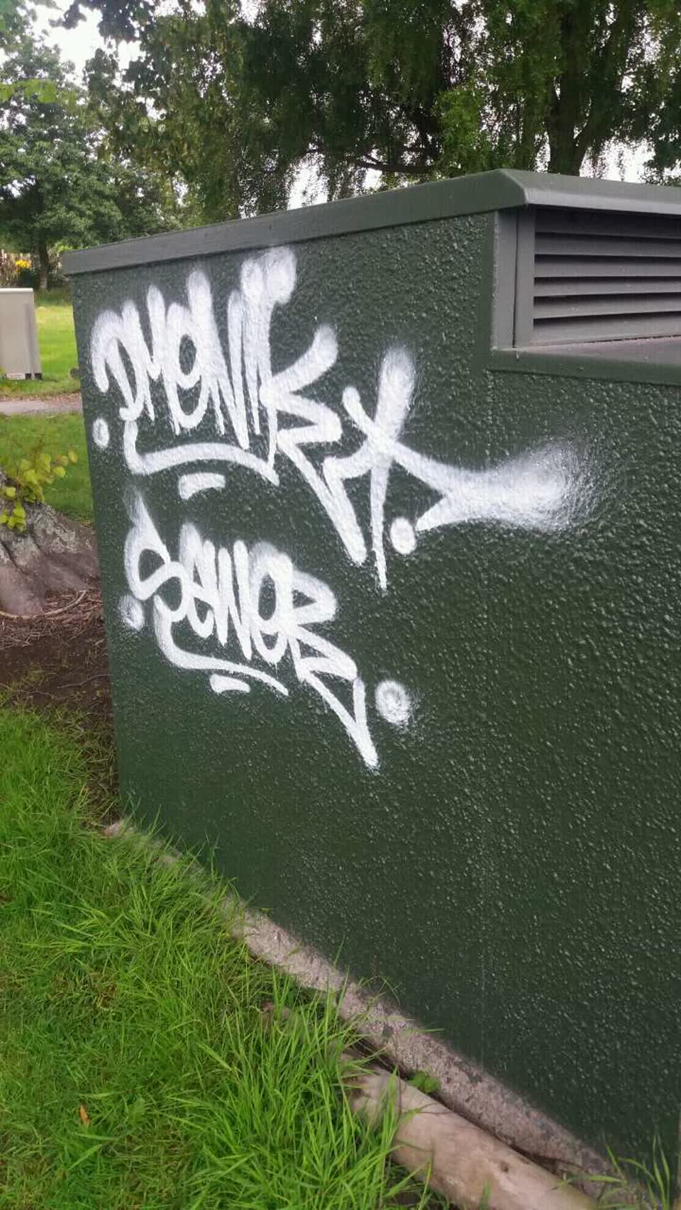 The photograph attached to this graffiti report