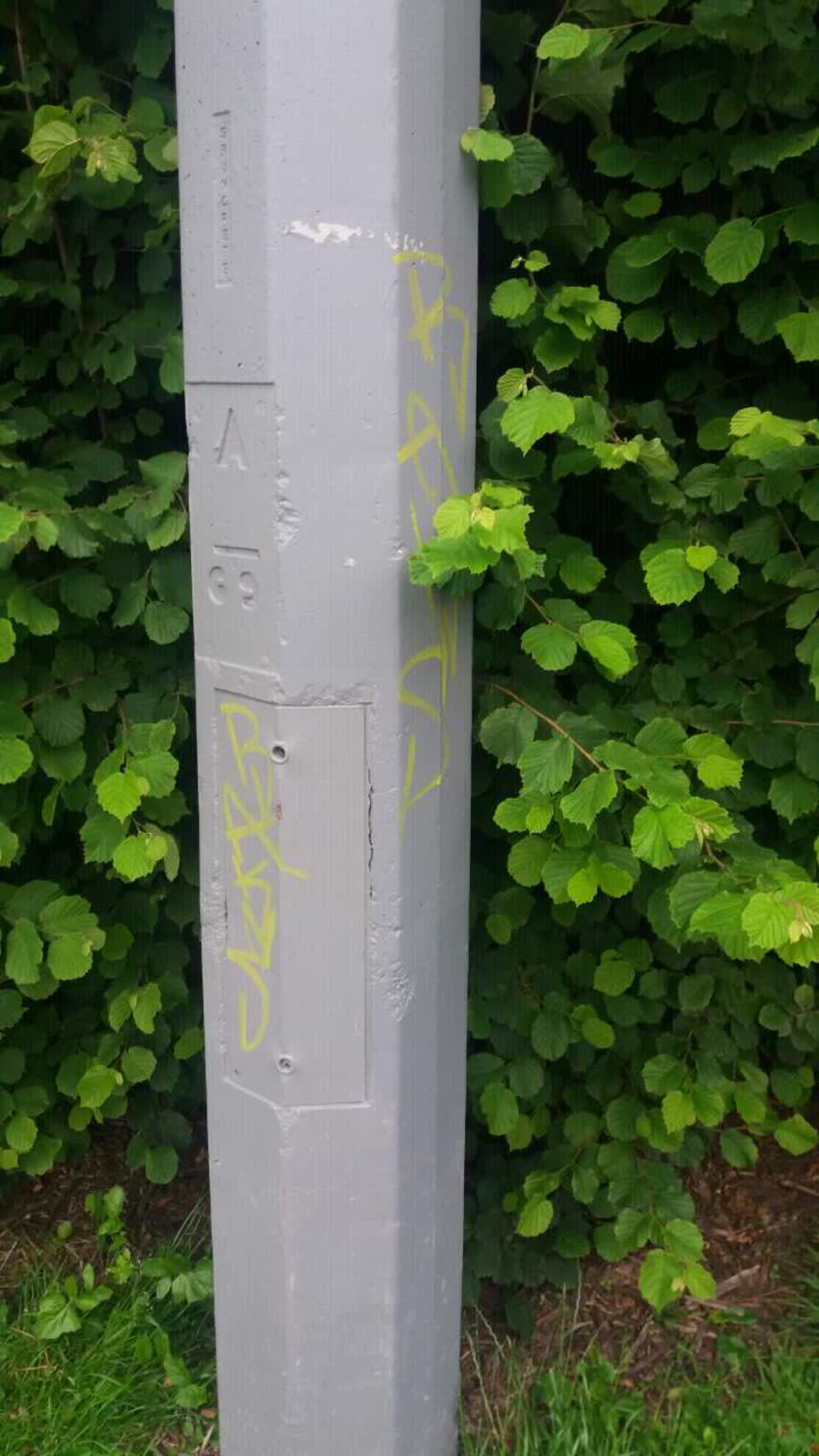 The photograph attached to this graffiti report