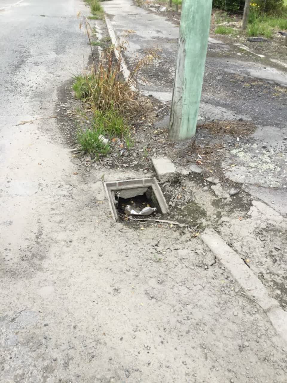 The photograph attached to this roading/streets report