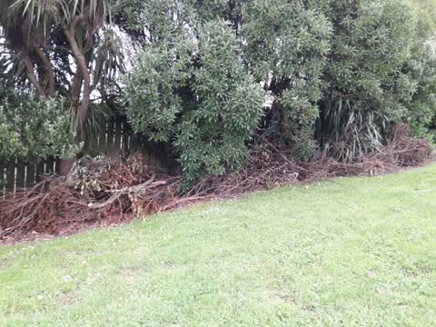 Parks, a report photo