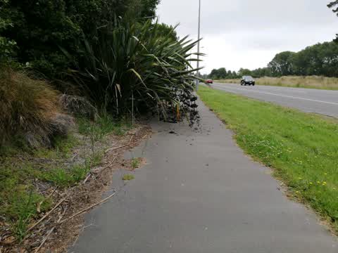 Roading/Streets, a report photo