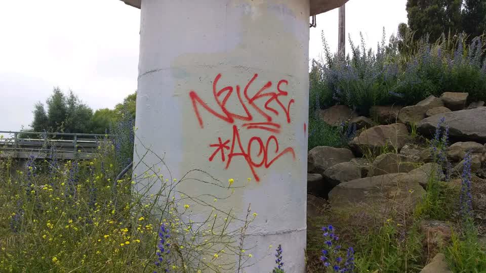 The photograph attached to this graffiti report