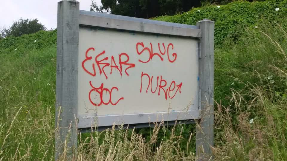 The photograph attached to this graffiti report