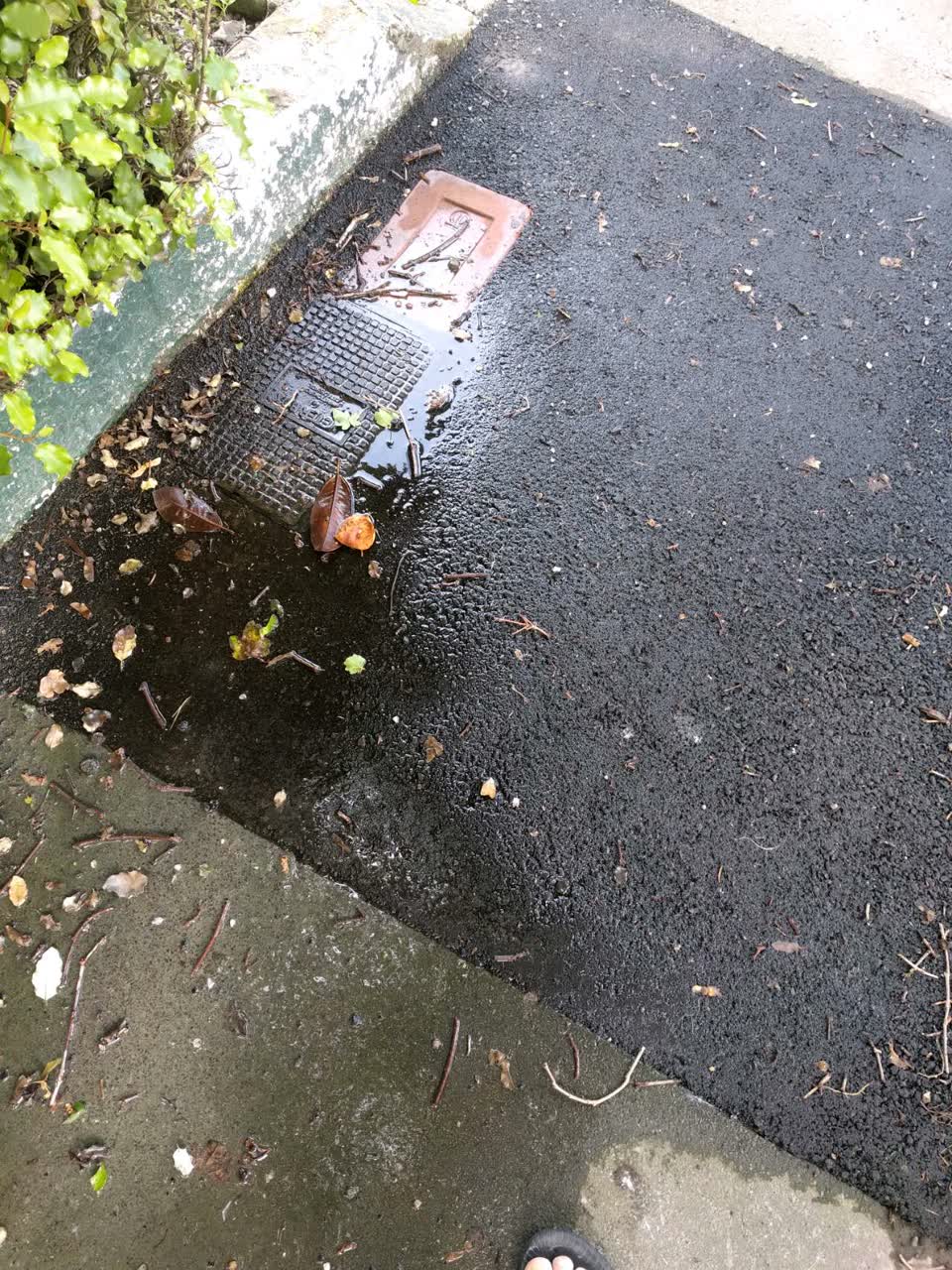 The photograph attached to this water supply report