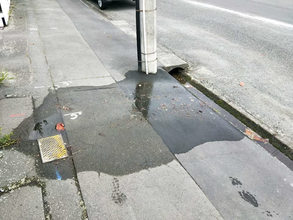The photograph attached to this water supply report