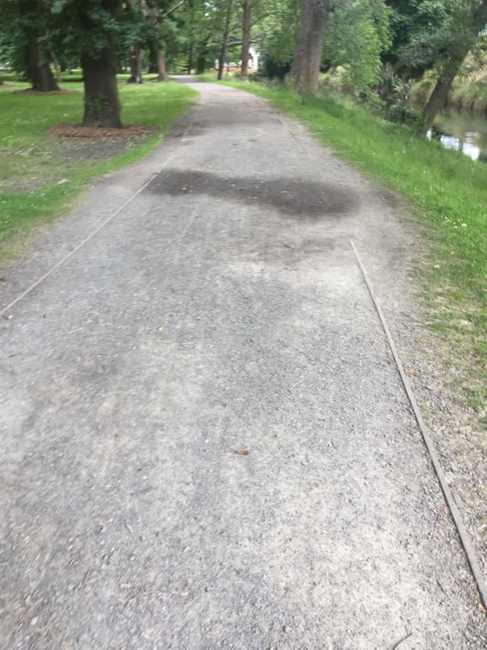The photograph attached to this parks report