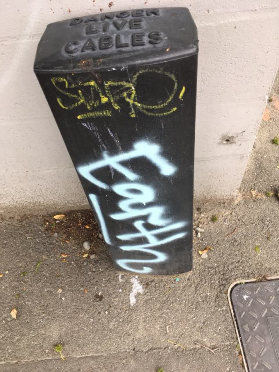 The photograph attached to this graffiti report