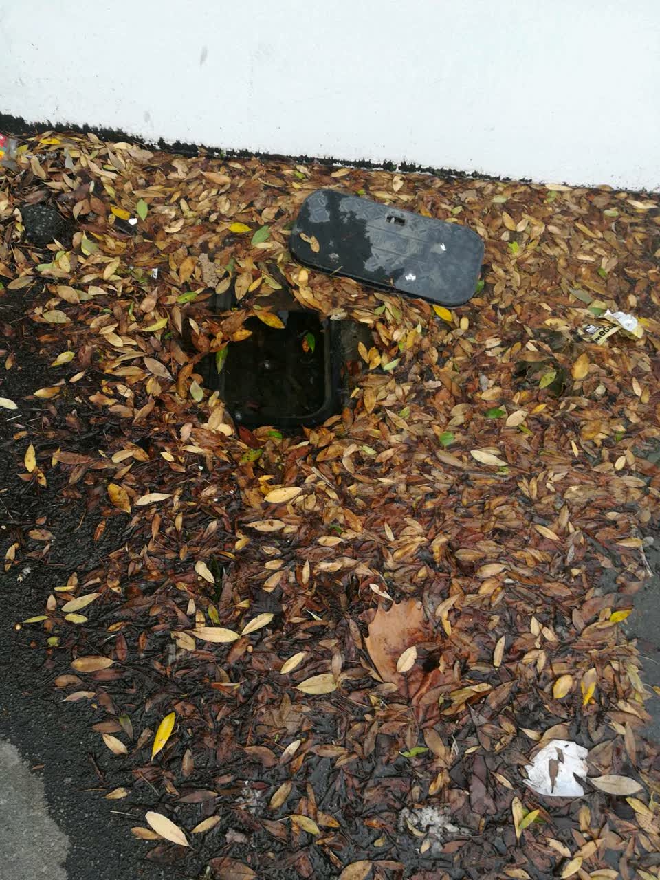 The photograph attached to this water supply report