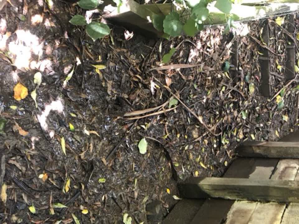 The photograph attached to this wastewater/stormwater report