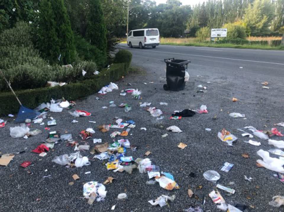 The photograph attached to this rubbish/recycling report