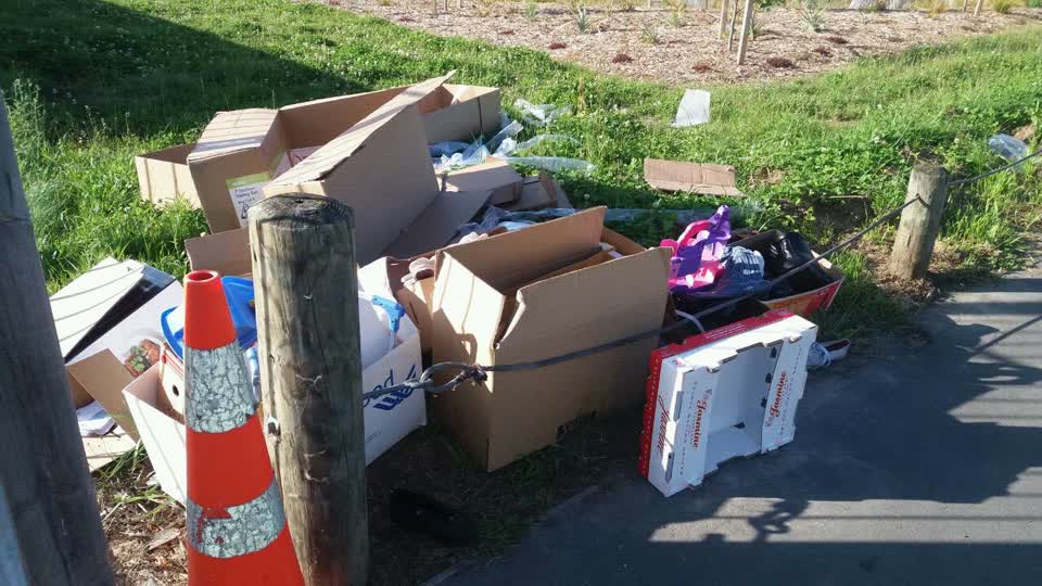 The photograph attached to this rubbish/recycling report