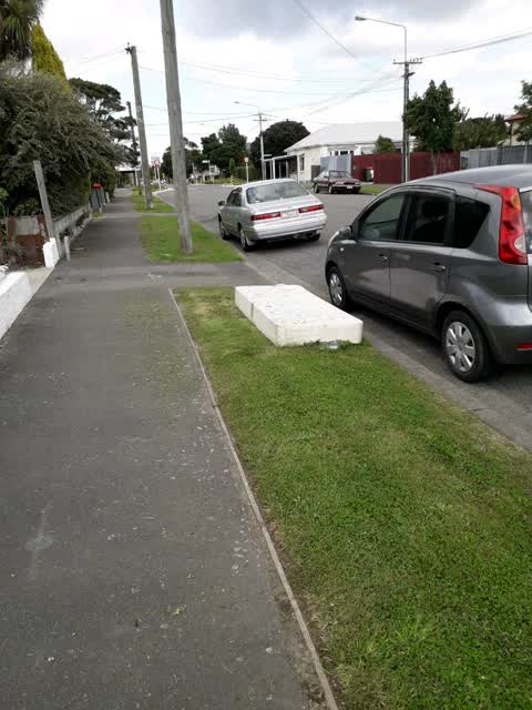 Rubbish/Recycling, a report photo