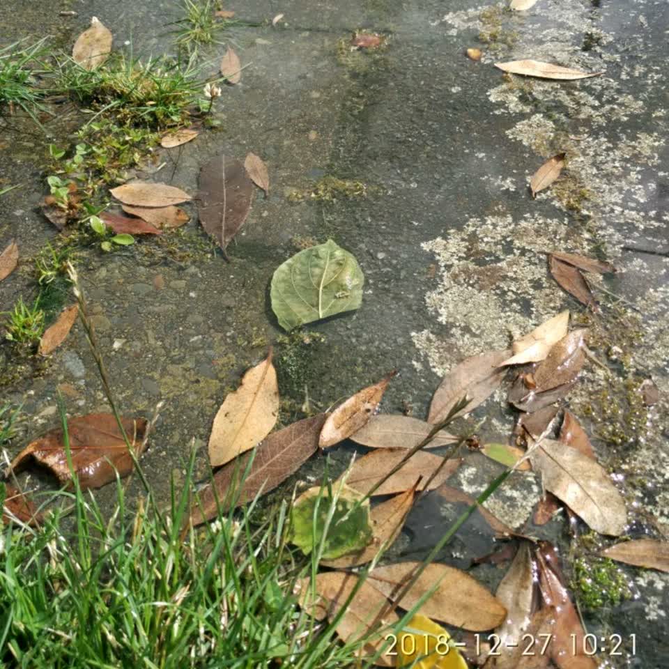 The photograph attached to this flooding report