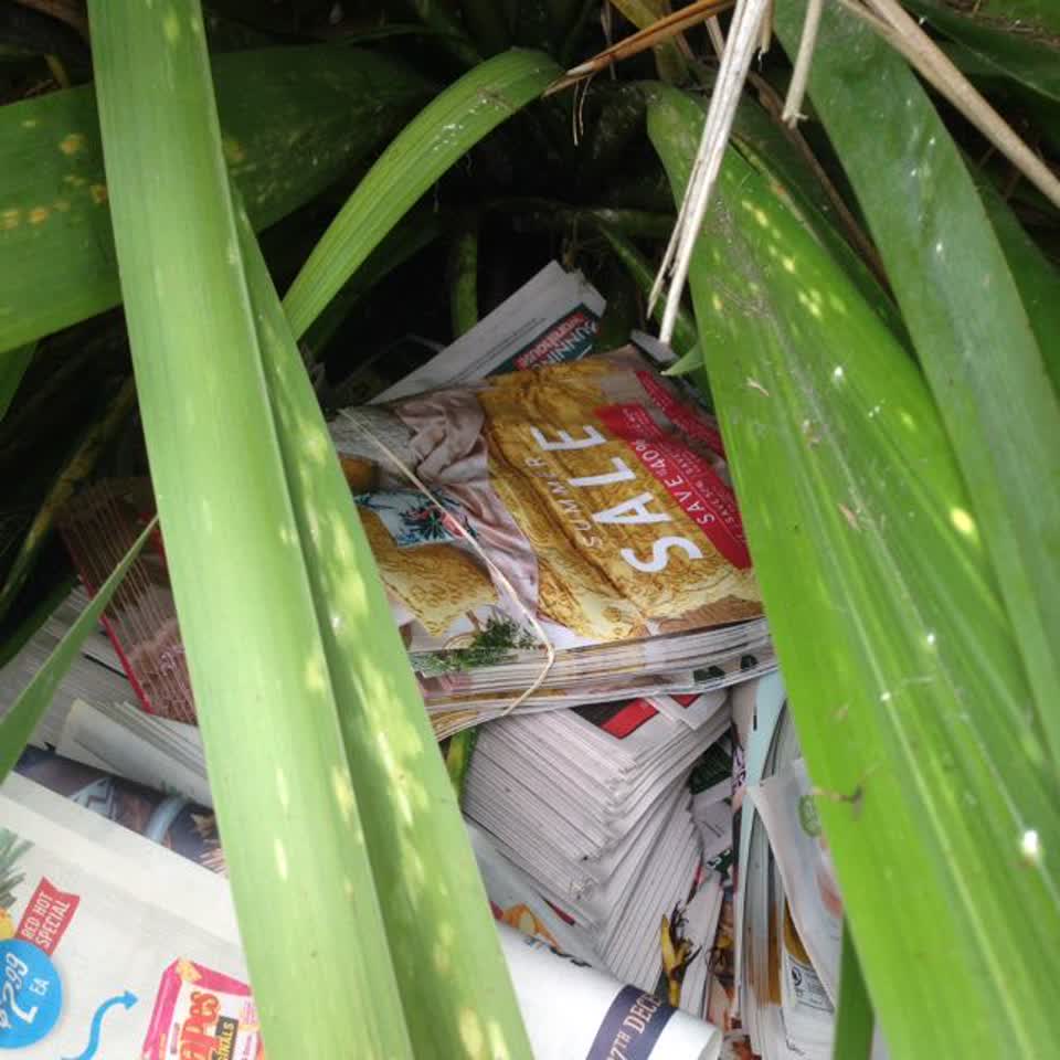 The photograph attached to this rubbish/recycling report