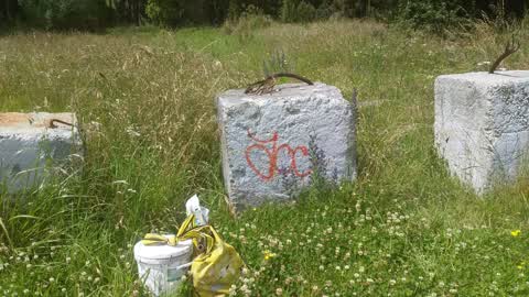 Graffiti, a report photo
