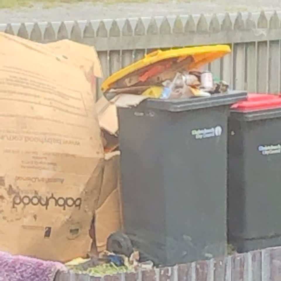 The photograph attached to this rubbish/recycling report